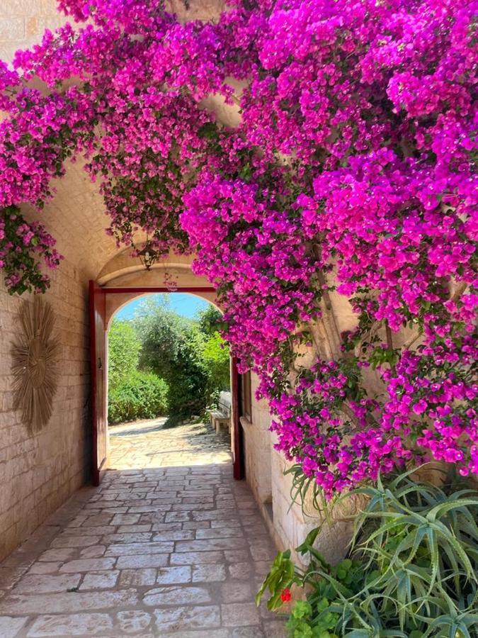 Masseria Morrone ออสตูนี ภายนอก รูปภาพ