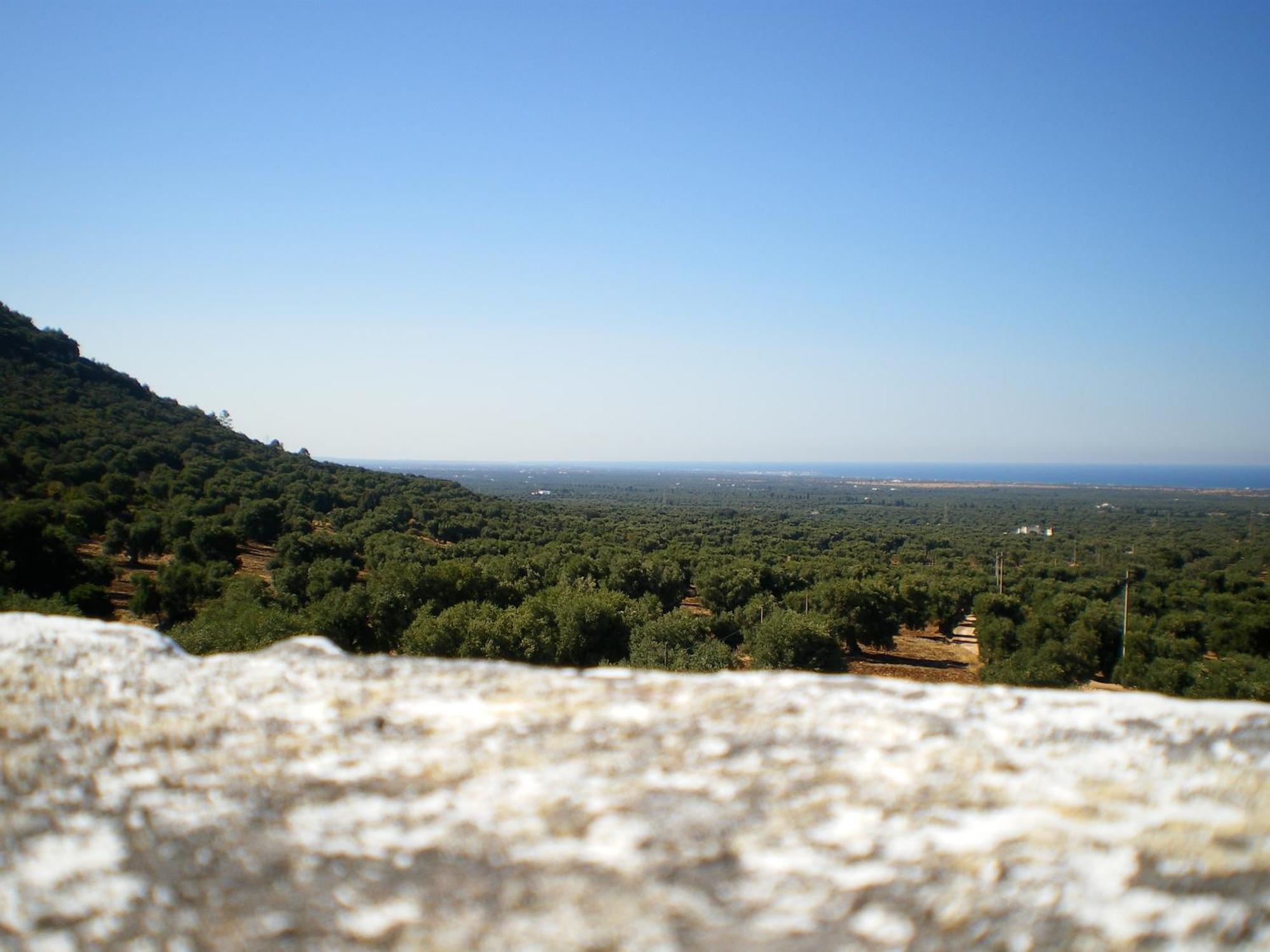 Masseria Morrone ออสตูนี ภายนอก รูปภาพ