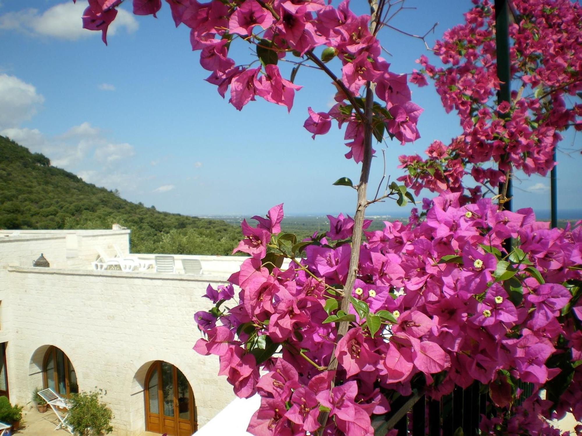 Masseria Morrone ออสตูนี ภายนอก รูปภาพ