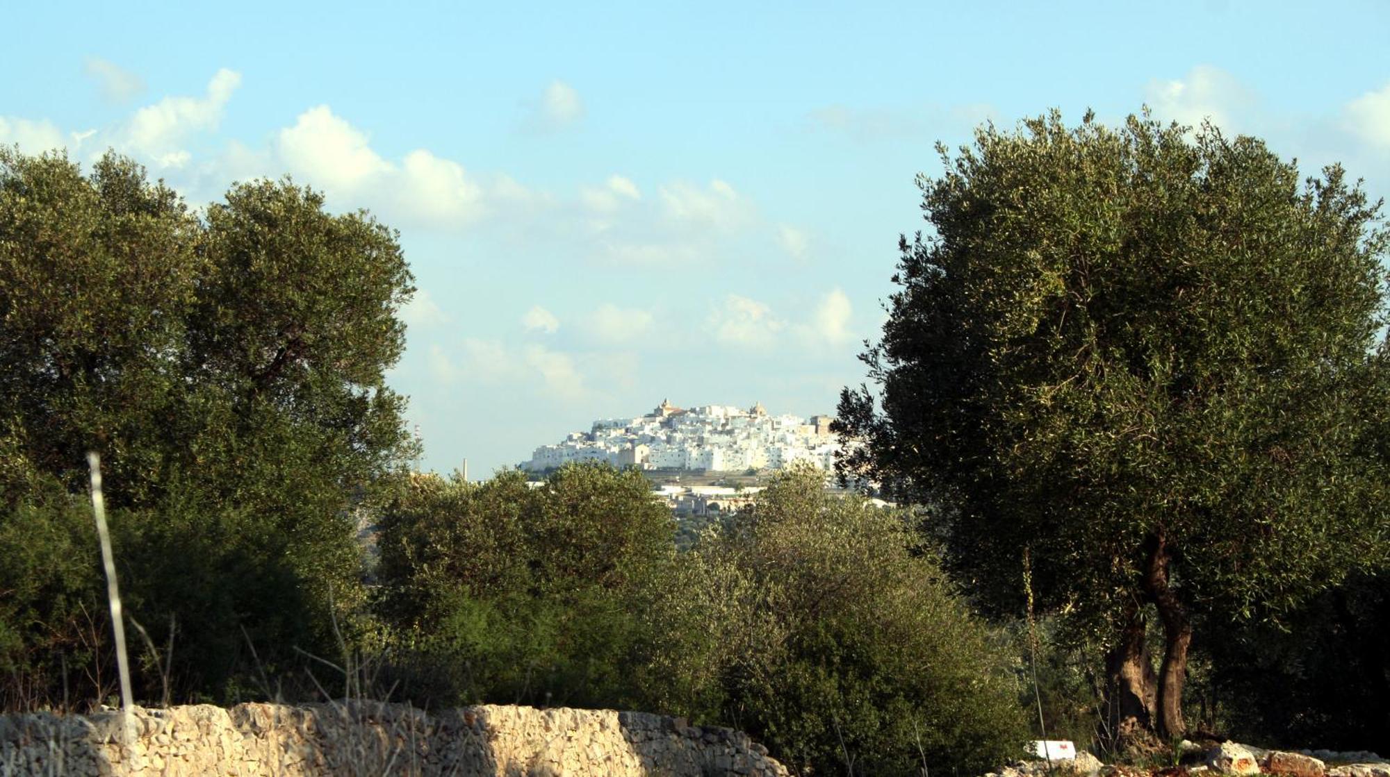 Masseria Morrone ออสตูนี ภายนอก รูปภาพ